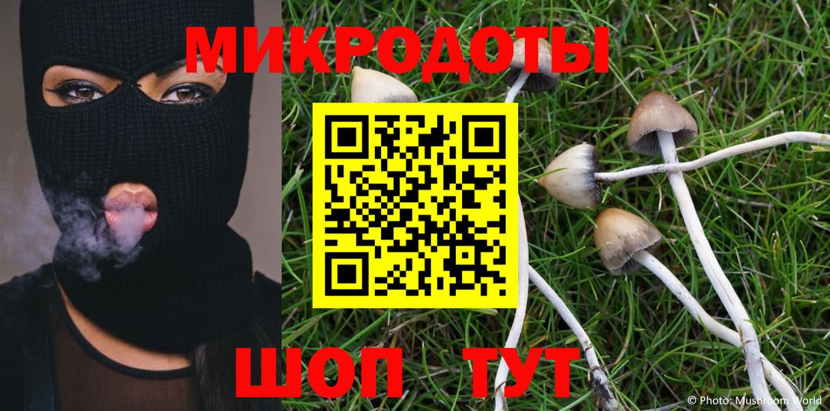 Псилоцибиновые грибы мухоморы Кропоткин