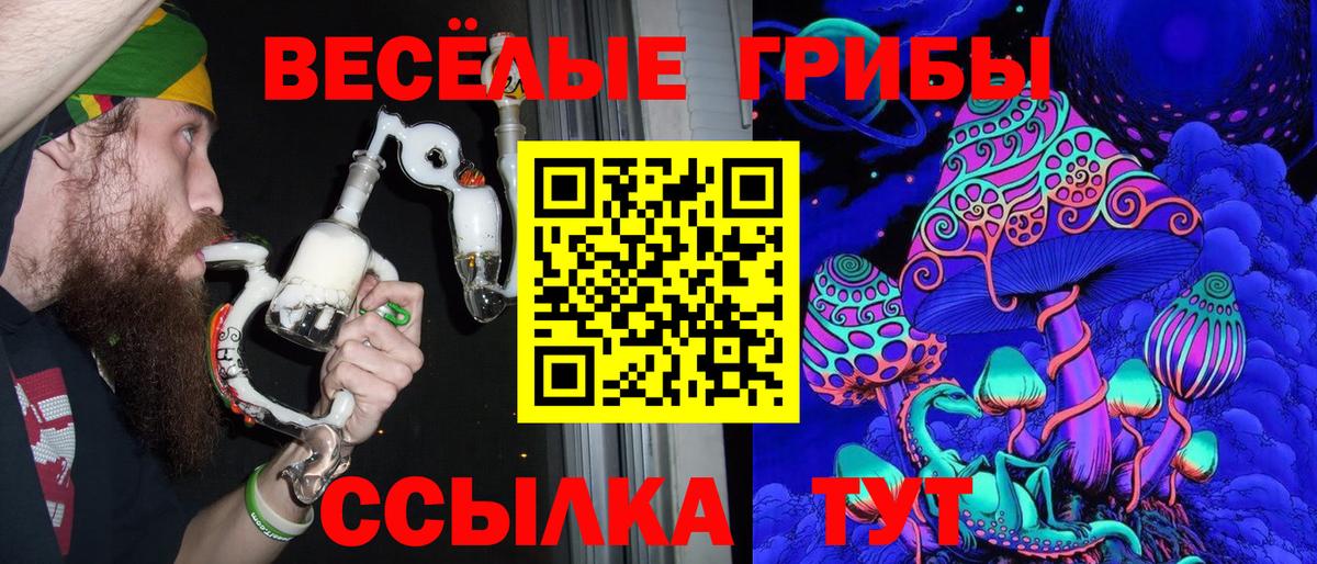 Кропоткин  Галлюциногенные грибы Psilocybine cubensis  Вход с VPN 