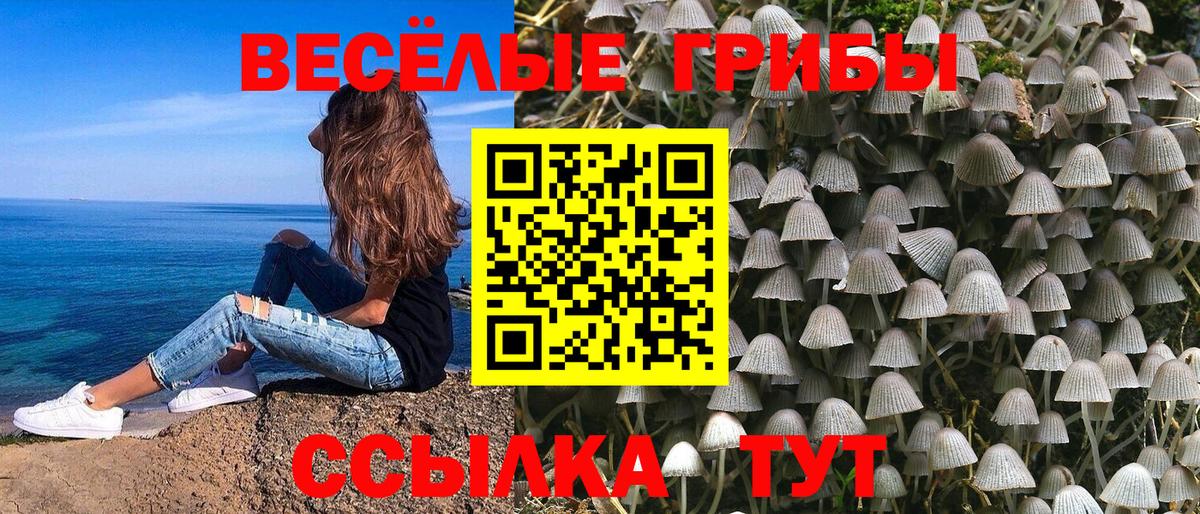 Псилоцибиновые грибы Cubensis  купить  сайты  Кропоткин 