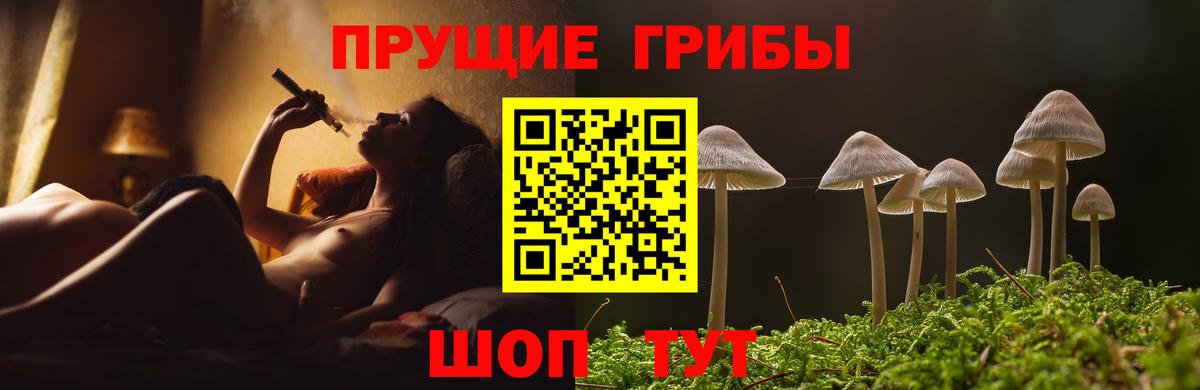 Псилоцибиновые грибы Cubensis Кропоткин